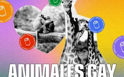 Animales Gay vs Animales Homofóbicos